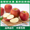 PAGODA百果园进口爱妃苹果（中）9粒礼盒装 商品缩略图3