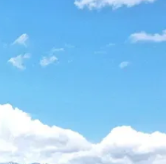 从肢体语言洞察人心：揭秘潜台词的艺术