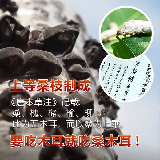 新货特级有机桑木耳200g黑木耳干货特级非野生特产级软糯肉厚无根 商品图1