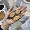 五香血藤 商品缩略图4