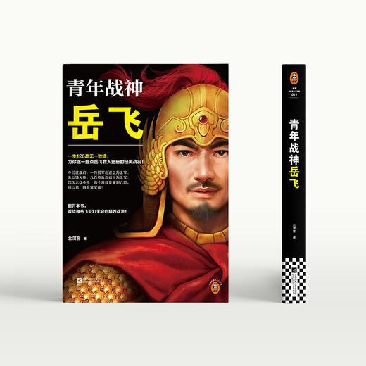 青年战神岳飞 商品图3