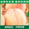 PAGODA百果园阳山水蜜桃6粒礼盒装（单果150g+） 商品缩略图3