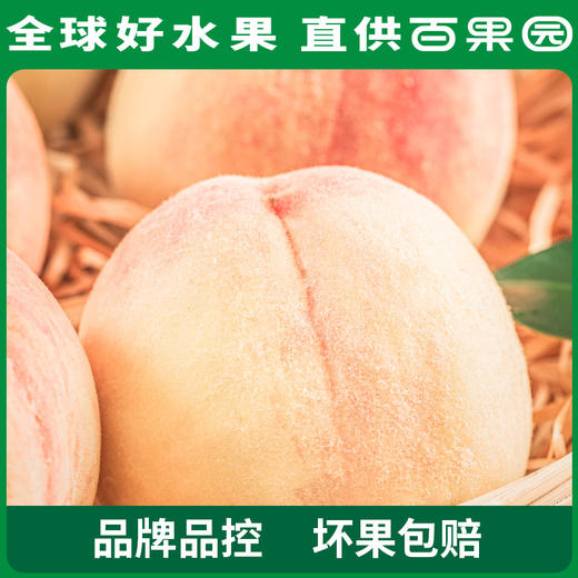 PAGODA百果园阳山水蜜桃6粒礼盒装（单果150g+） 商品图3