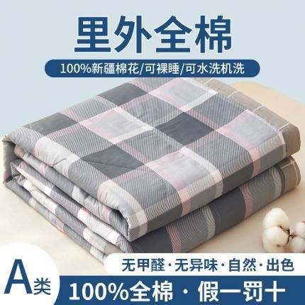 三泰龙 全棉夏凉被A类纯棉喷气新疆棉空调被单人可水洗夏凉被018 商品图4