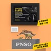 PNSO剑龙比伯和剑龙鲁克恐龙博物馆1比35科学艺术模型 商品缩略图4