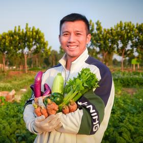 生态自选蔬菜箱| 绿家自产 *ecological vegetable box  | In-House Production