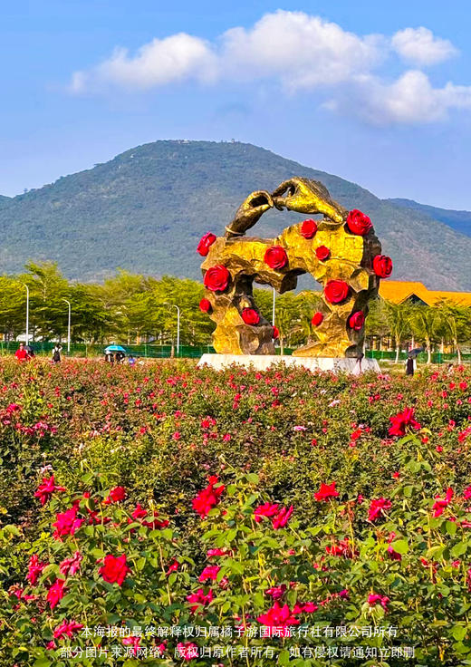 【海南环岛游 不走回头路】海进亚出 5日游 商品图2