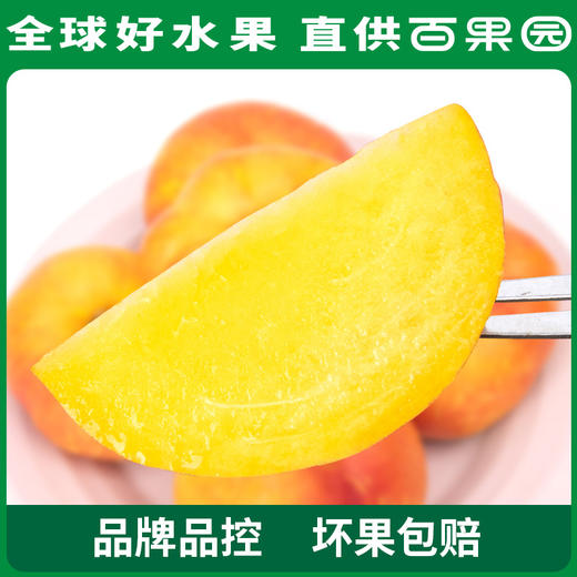 PAGODA百果园A级-黄油蟠桃9粒礼盒装 商品图4
