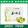 PAGODA百果园巫山脆李（特大）5斤彩箱装 商品缩略图1