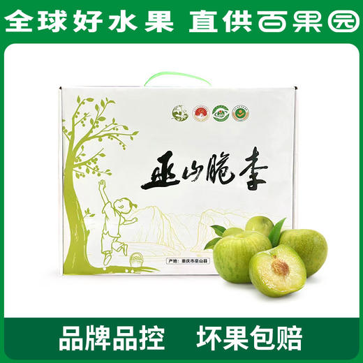 PAGODA百果园巫山脆李（特大）5斤彩箱装 商品图1