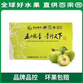 PAGODA百果园巫山脆李（大）5斤彩箱装