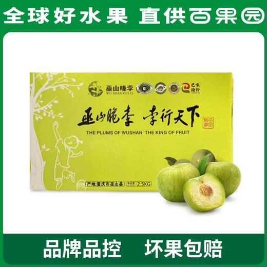 PAGODA百果园巫山脆李（大）5斤彩箱装 商品图0