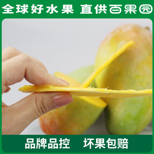 PAGODA百果园青皮大金煌芒8斤礼盒装 商品图5