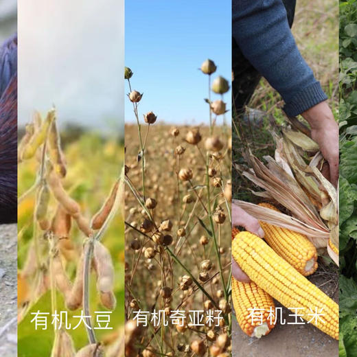 健康好蛋｜风物良食®️有机鸡蛋 ｜每周三上架，周五发货 商品图4