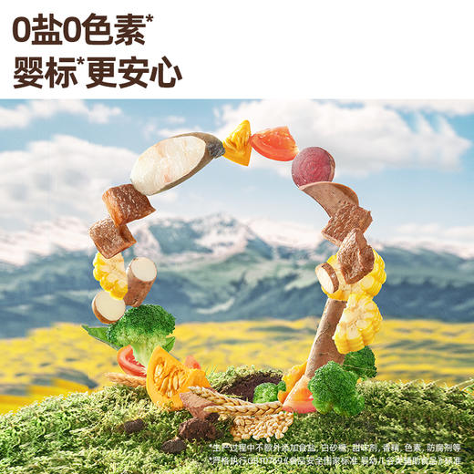 英氏忆格有机婴幼儿五彩面 宝宝辅食面条碎碎面彩蝶面3口味可选 商品图1