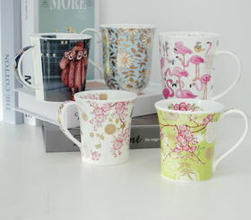 【清仓特惠】英国原产丹侬DUNOON骨瓷水杯马克杯茶杯