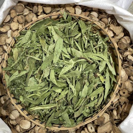 甜叶菊 商品图2