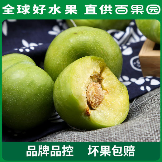 PAGODA百果园巫山脆李（特大）5斤彩箱装 商品图5