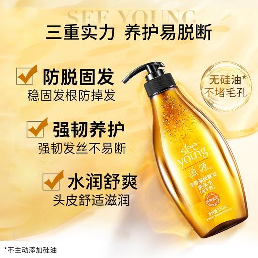 滋源  生姜强根健发洗头水535ml（中干性） 商品图0