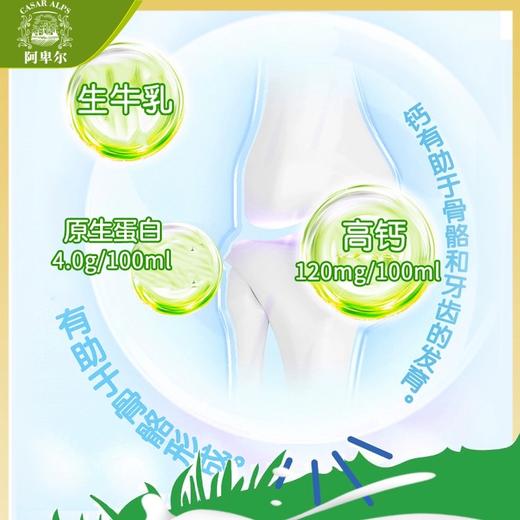 阿卑尔全脂纯牛奶4.0蛋白/A2-β酪蛋白200ml 优质原生乳蛋白更加纯粹 023611/023610 商品图2