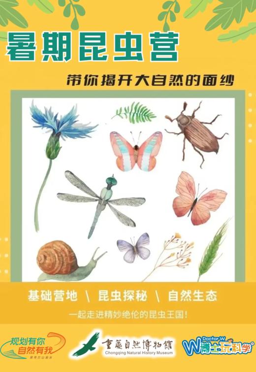重庆自然资源科普馆 | 【暑期昆虫营】 商品图0
