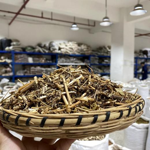 大青叶胆 商品图1