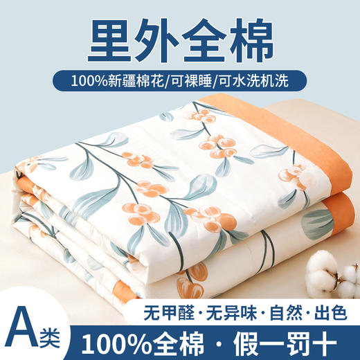 三泰龙 全棉夏凉被A类纯棉喷气新疆棉空调被单人可水洗夏凉被018 商品图0