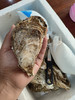 霞关深水区生蚝5斤团购价39.9下单隔天到货！（泡沫箱，冰块，生蚝刀） 商品缩略图6
