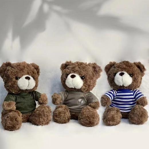 【体能小熊公仔】体能小熊公仔23cm毛绒公仔陪伴公仔送1个日富一日帆布袋y 商品图8