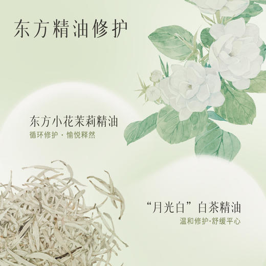 【新品上新】逐本不染茉莉白茶莹亮修护涂抹面膜50g 商品图4
