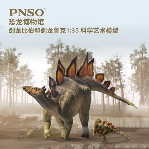 PNSO剑龙比伯和剑龙鲁克恐龙博物馆1比35科学艺术模型 商品图0
