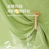 【瞬间降温！西瓜冻冻被】A类凉感丝抗菌空调冰丝夏凉被可水洗夏季单双人薄款天丝夏凉被子 商品缩略图2