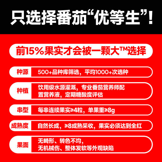 【一颗大™】红樱桃串番茄车厘串茄198g*4/6/8盒 商品图3