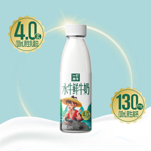 【预售/鲜奶卡】皇氏一只水牛4.0g高钙鲜水牛奶（4瓶*260ml），次月每周一周二配送到家（仅限东莞林语花园、心语花园购买，可配送到家） 商品图4