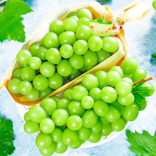 【顺丰快递】四川西昌阳光玫瑰葡萄新鲜当季现摘现发 商品图5
