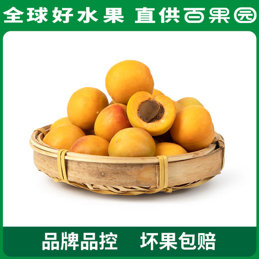 PAGODA百果园招牌-奶皇杏3斤礼盒装 商品图3
