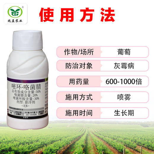 冠龙 果倍健 嘧环·咯菌腈 商品图1