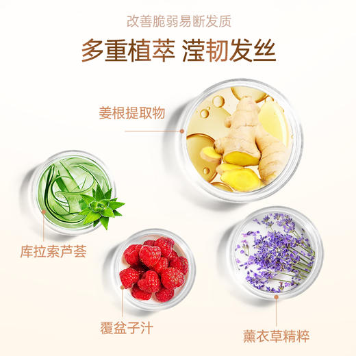 滋源  生姜强根健发护发素535ml（油性） 商品图2