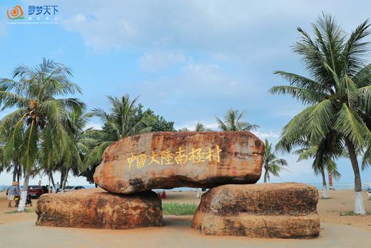 8月14日确定出发湛江开渔节【茂名+湛江】外罗渔港、菠萝的海、南极村5天 商品图9