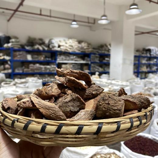 杨梅根 商品图1