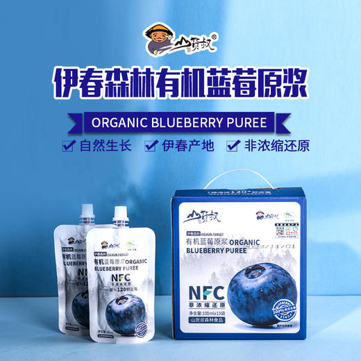 山货叔NFC有机蓝莓原浆100ml*10 商品图0
