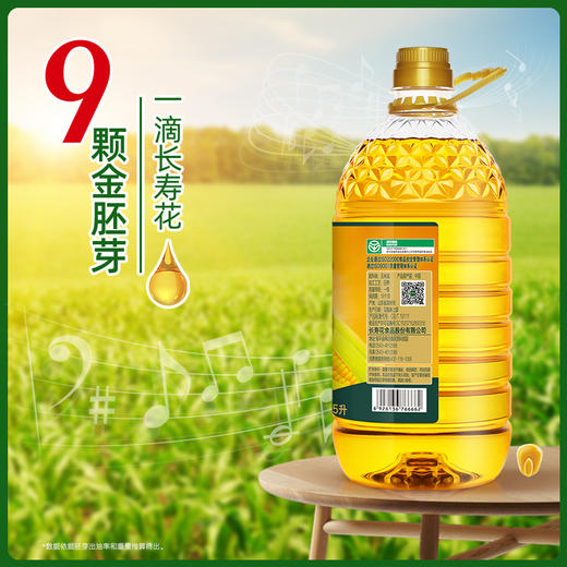 【年货王炸福利】长寿花金胚玉米油5L*2+400ml*2 商品图4