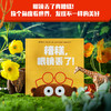 遇见大师：里奥·提莫斯儿童绘本（脑洞大开系列） 商品缩略图7