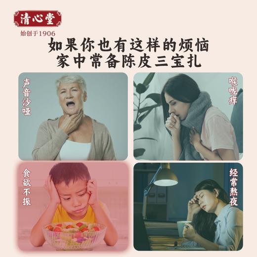 广式陈皮三宝扎 商品图2