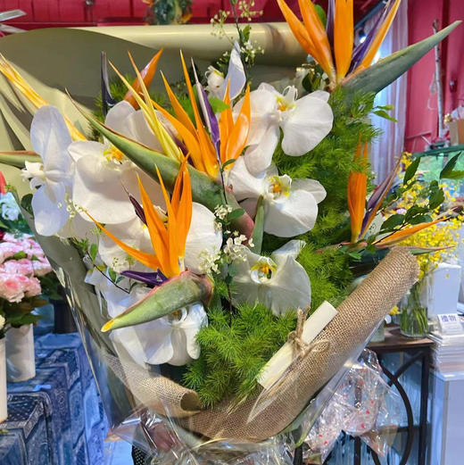 ［魔法先生］ 商品图0