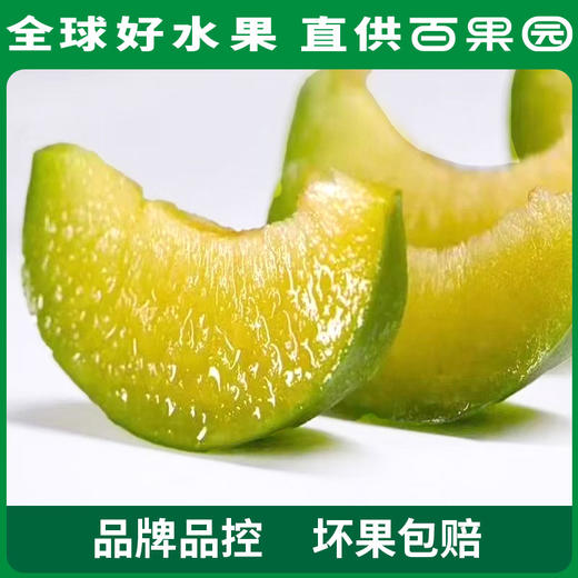 PAGODA百果园巫山脆李（特大）5斤彩箱装 商品图2