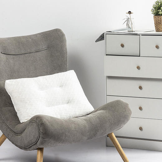  红蜻蜓枕头泰国天然枕芯橡胶舒适防螨乳胶颗粒枕HQT-3021 商品图0