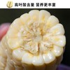 黑龙江高叶酸玉米礼盒装 商品缩略图2