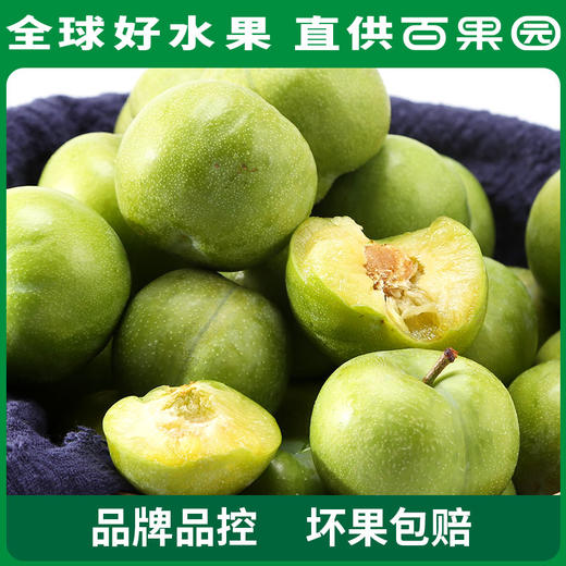 PAGODA百果园巫山脆李（特大）5斤彩箱装 商品图3