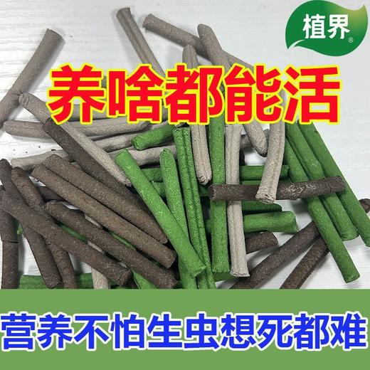 植物急救棒强效六合一植物花卉多肉通用型氮磷钾家庭园艺肥料 商品图2